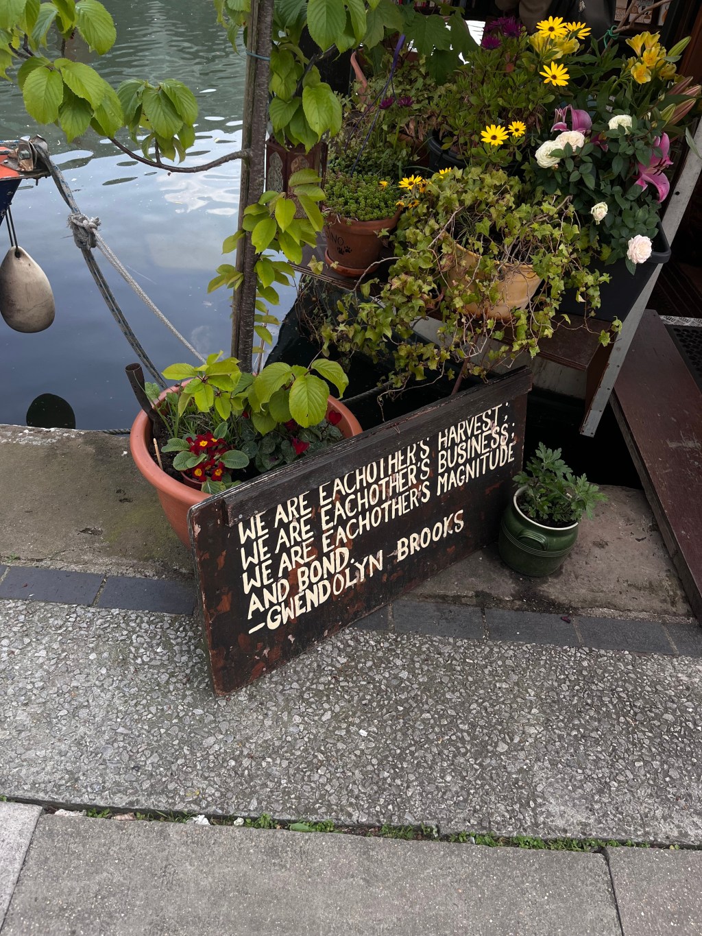 Reflections on a year: a loosely spun origin story 